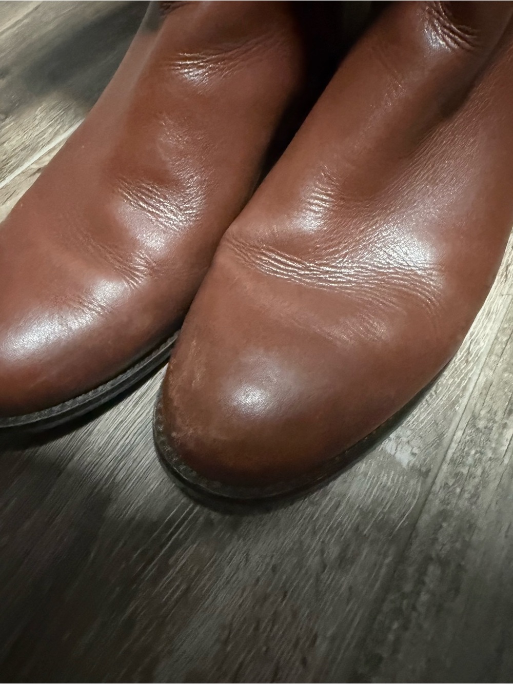 Tory Burch Chestnut Brown Leather Tall Riding Boots with Gold Logo - Picture 3 of 7